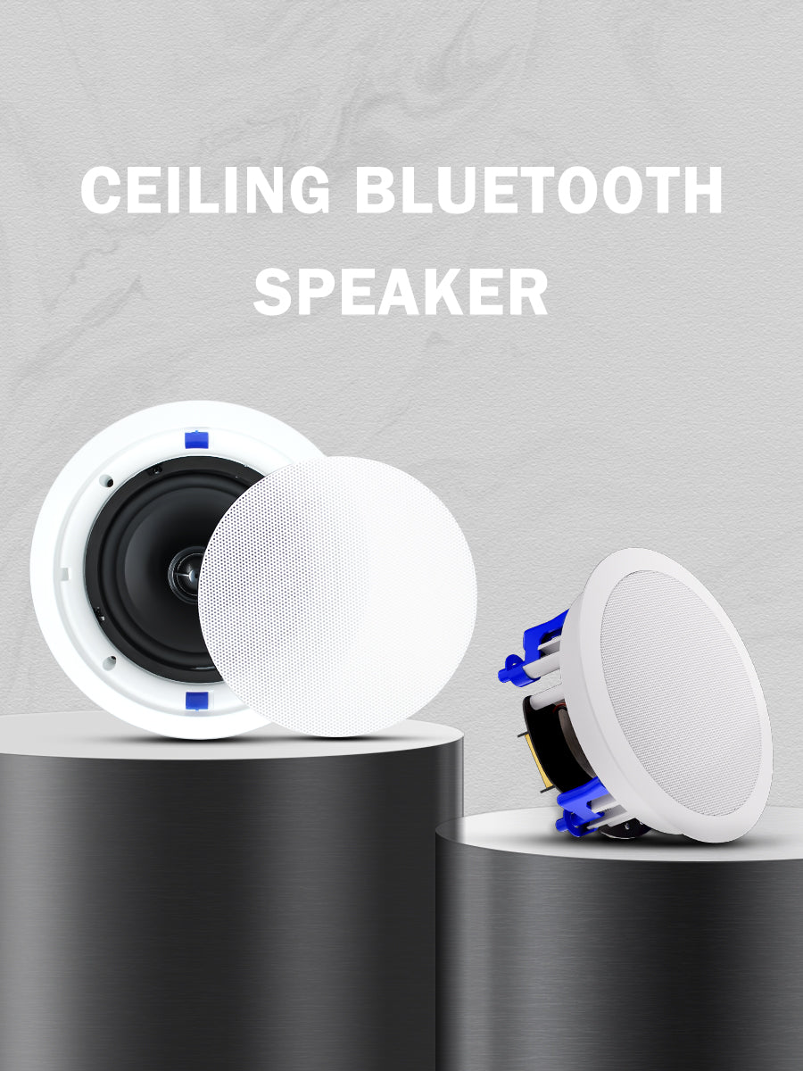 In ceiling best sale speaker system bluetooth